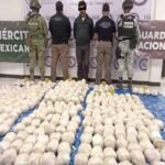 Ocultaban drogas en cebollas