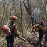 Realiza Protección Civil operaciones permanentes de control de incendios forestales