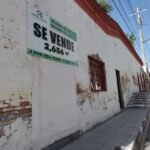 ¿Museo o universidad?