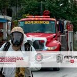 Murió persona atacada por enjambre de abejas