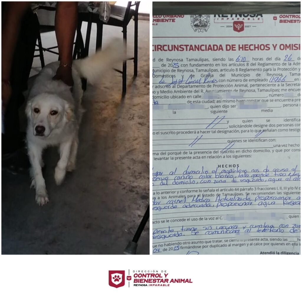 Exhorta Alcalde de Reynosa a dueños cuidar de sus mascotas