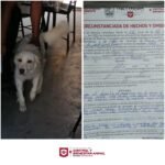 Exhorta Alcalde de Reynosa a dueños cuidar de sus mascotas