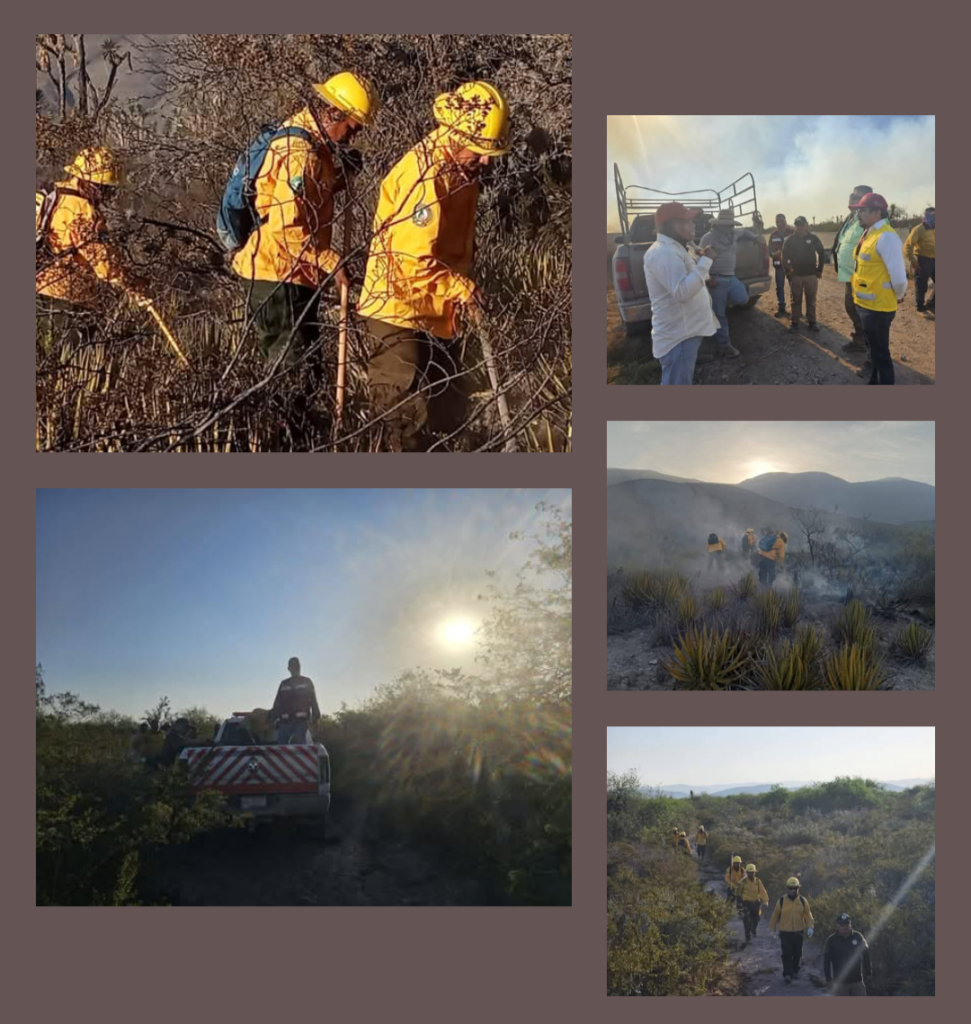 lRefuerzan brigadistas de la SEDUMA combate a incendio de pastizales en Tula