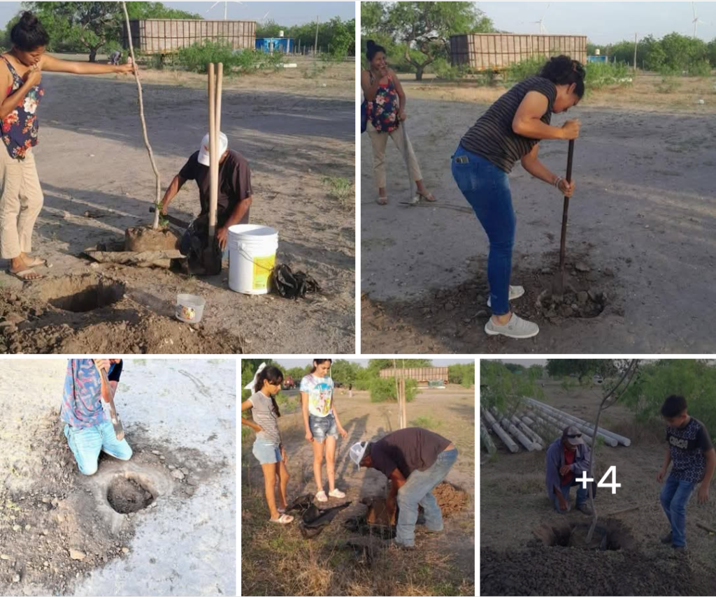 Reforestación es importante para regular el microclima de la región