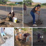 Reforestación es importante para regular el microclima de la región