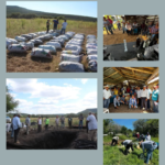 Impulsan extensionismo forestal en apoyo a productores tamaulipecos