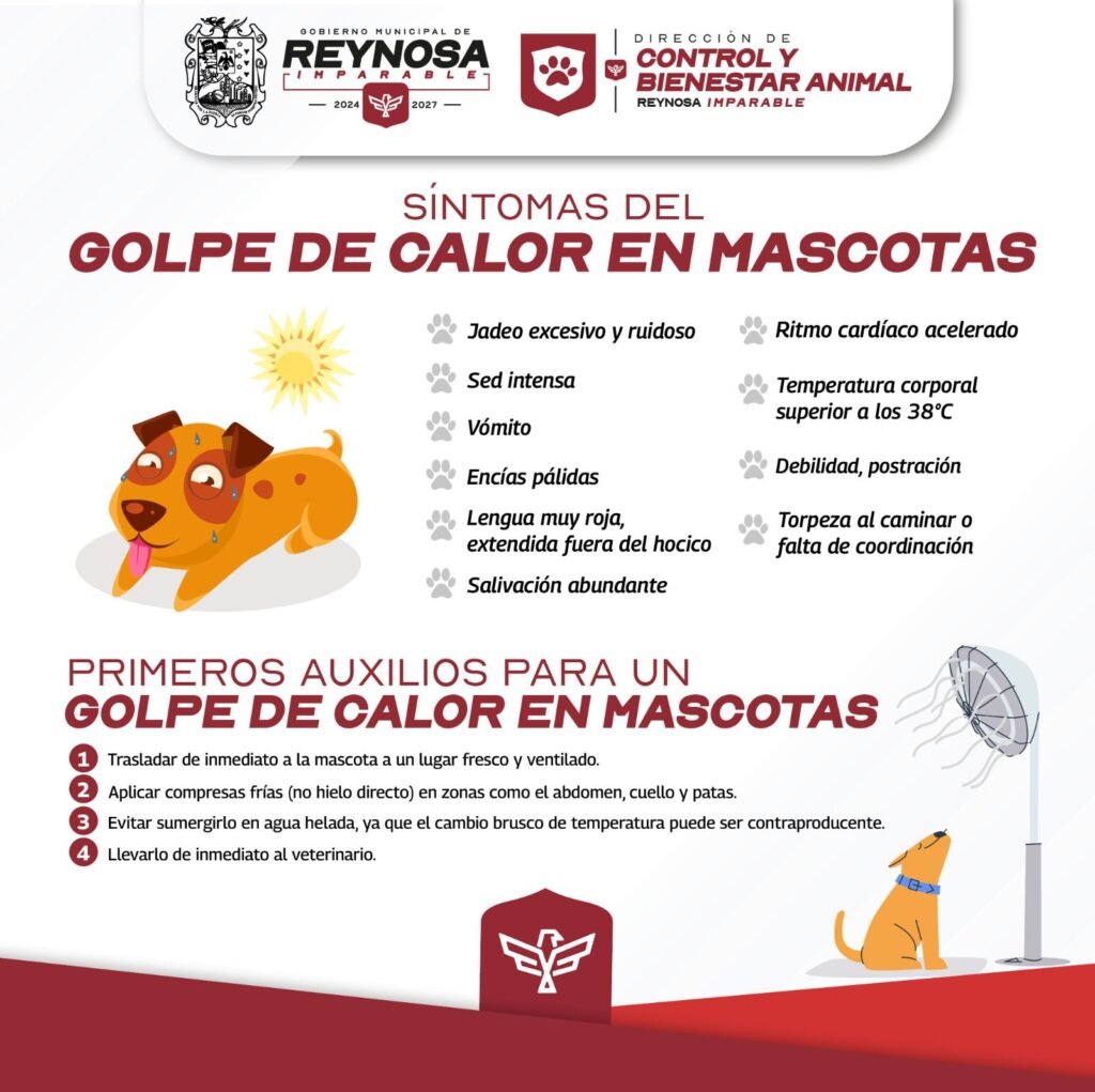 Exhorta Alcalde de Reynosa a cuidar salud de las mascotas