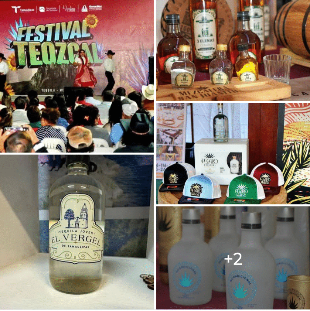 Promueve Tamaulipas sus denominaciones de origen del tequila y mezcal