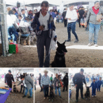 Convive ciudadanía con caninos de la Guardia Estatal en Brigada Transformando Familias