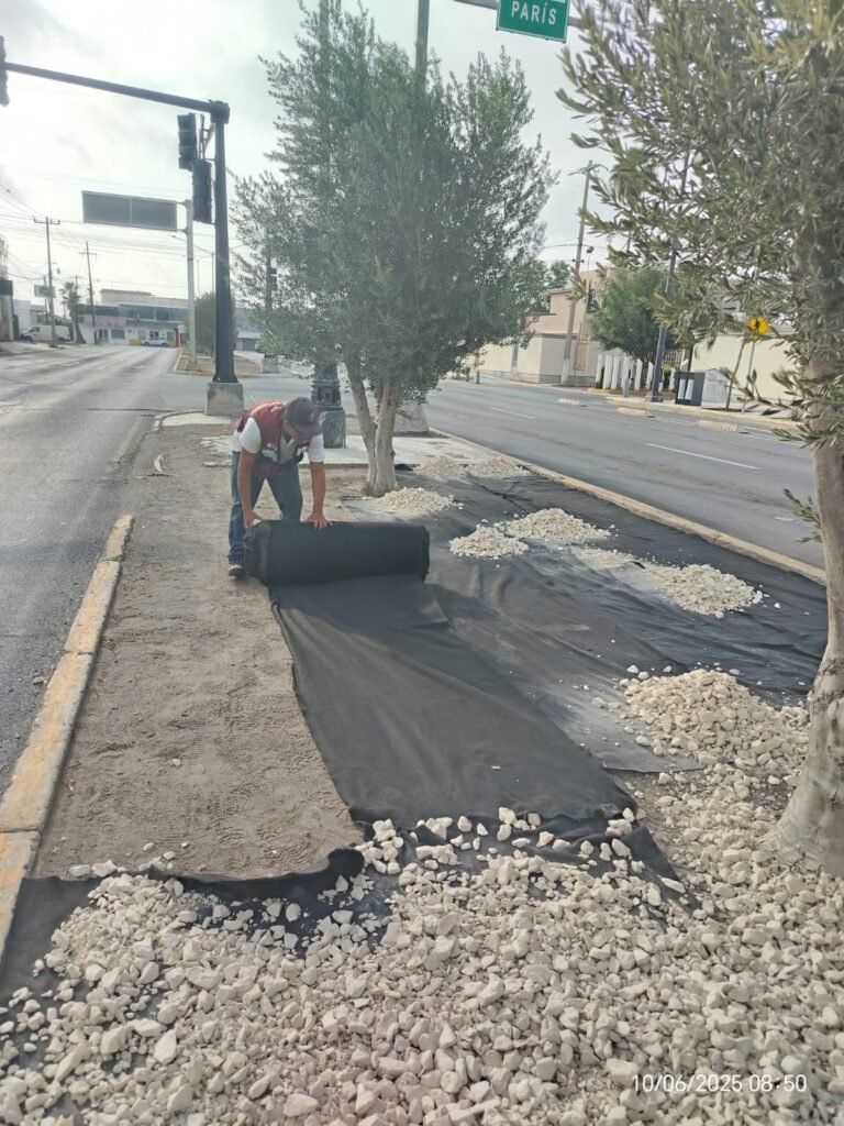 Muy activo el personal de Servicios Públicos Primarios