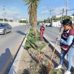 Trabajo intenso de Servicios Primarios en todos los sectores