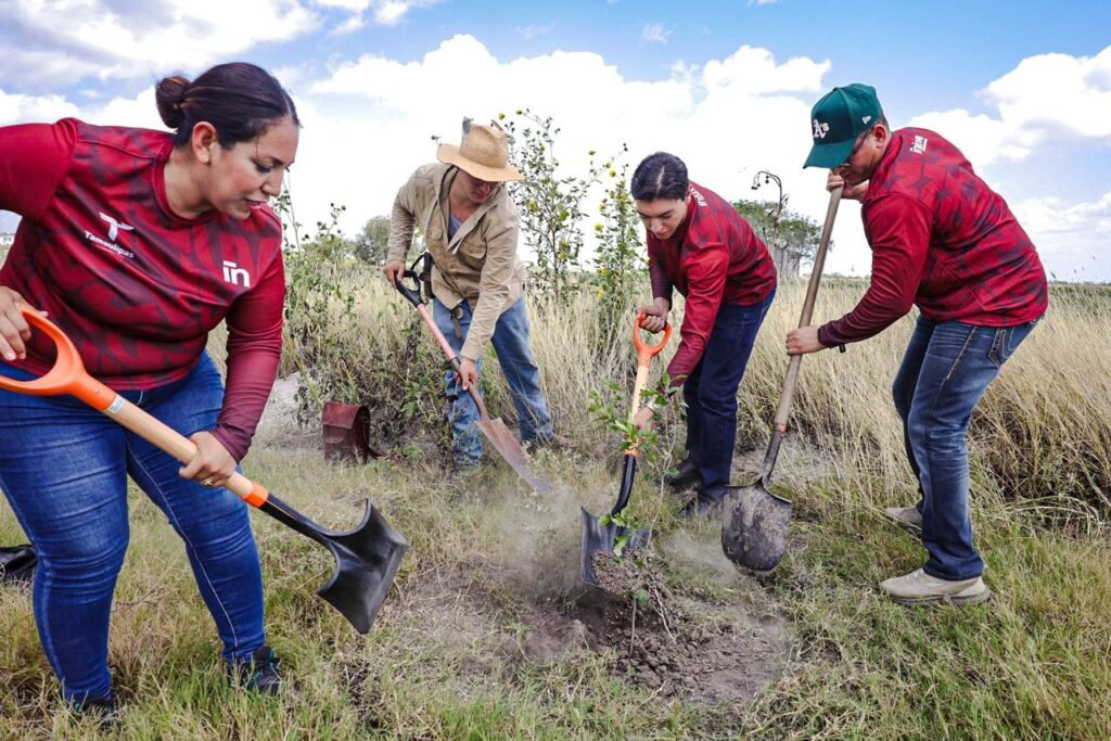 Adolescentes en proceso de reinserción social elaboran y donan libreros con madera reciclada