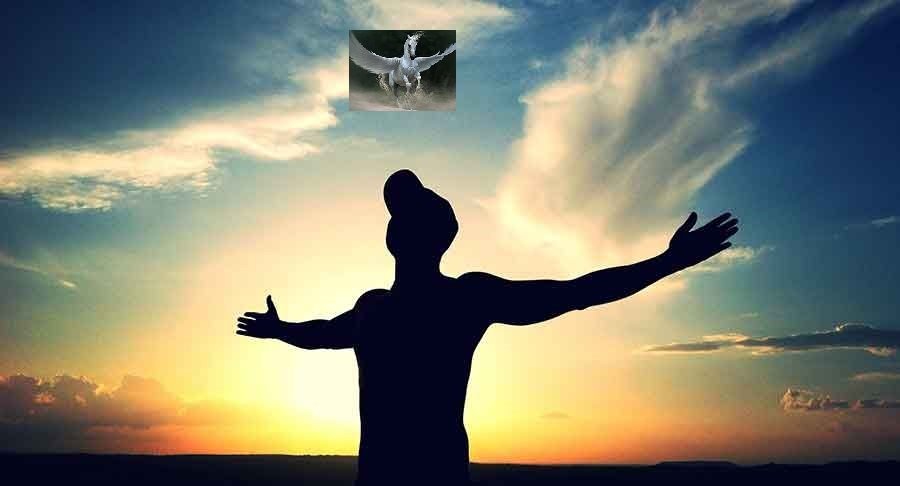AL VUELO-Cursos