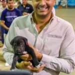 Busca Alcalde de Reynosa nombre para cachorrito abandonado