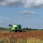 Productores de Tamaulipas anuncian acciones de protesta este jueves