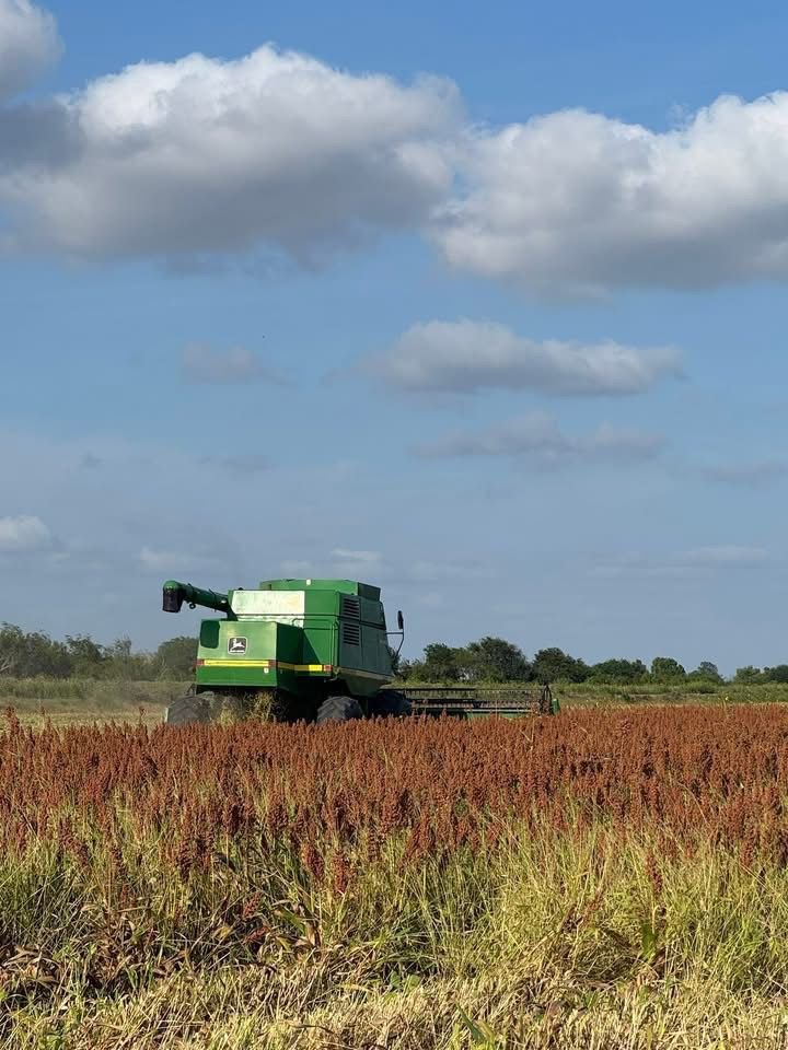 Productores de Tamaulipas anuncian acciones de protesta este jueves