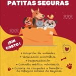 Ofrecerá Gobierno de Reynosa servicios veterinarios gratuitos