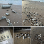 Alerta Ecológica en Playa Bagdad; Llegan fragmentos de Starship