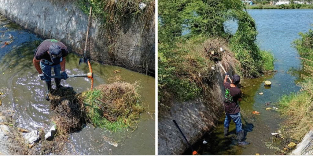 Refuerza Gobierno Municipal y COMAPA trabajos de limpieza en calicheras de la ciudad