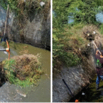 Refuerza Gobierno Municipal y COMAPA trabajos de limpieza en calicheras de la ciudad