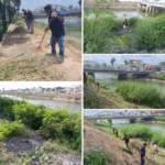 Limpia Servicios Públicos canal Anzaldúas para evitar fauna nociva