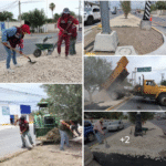 Avanza labor de embellecimiento del bulevar Lázaro Cárdenas