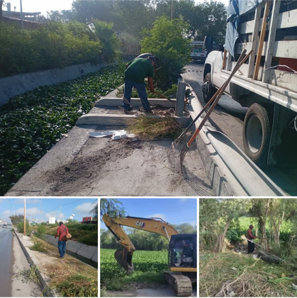 Sanea Gobierno de Reynosa dren y calichera en Balcones de Alcalá