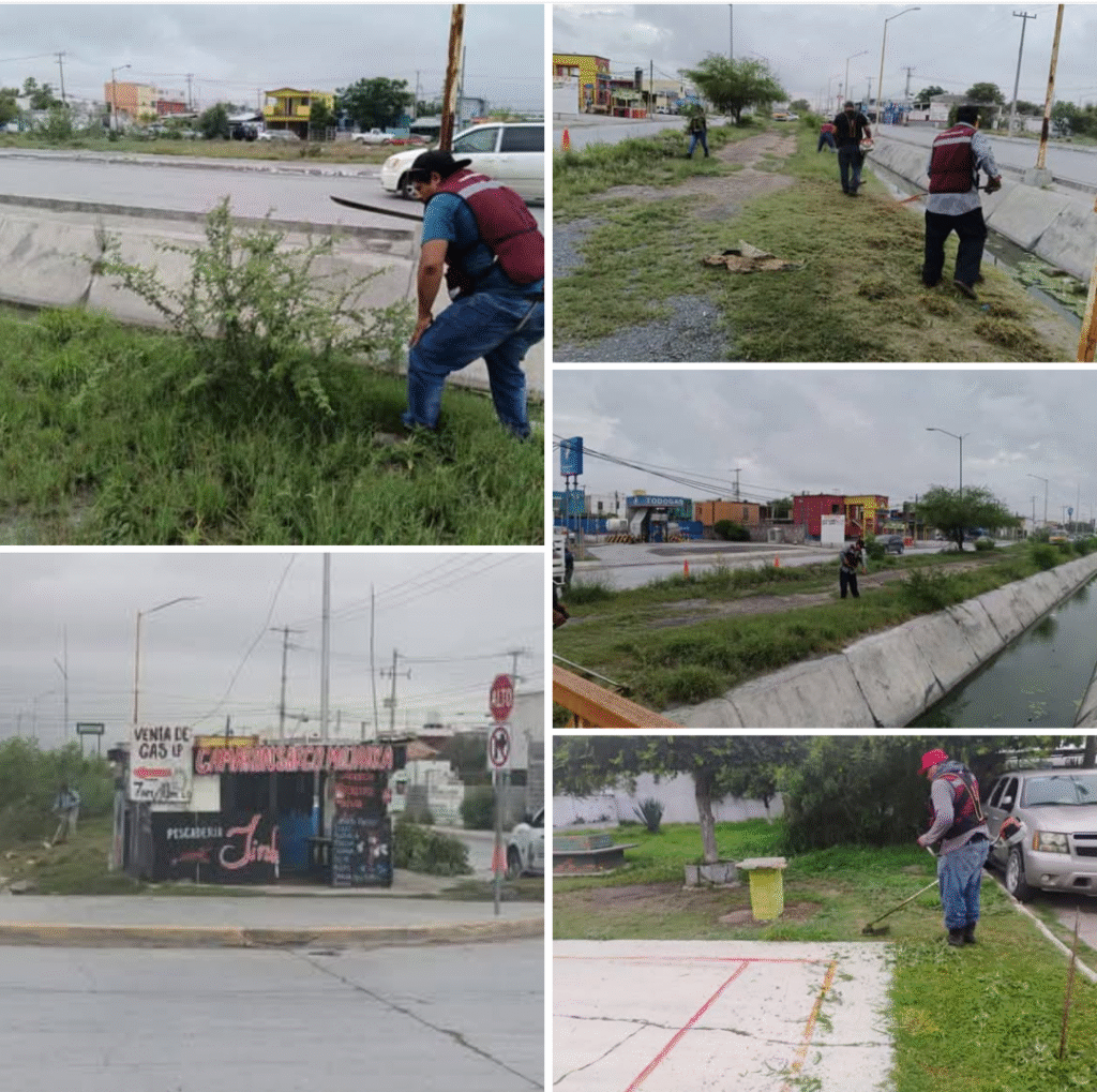 Desarrollan cuadrillas municipales limpieza y saneamiento en Reynosa