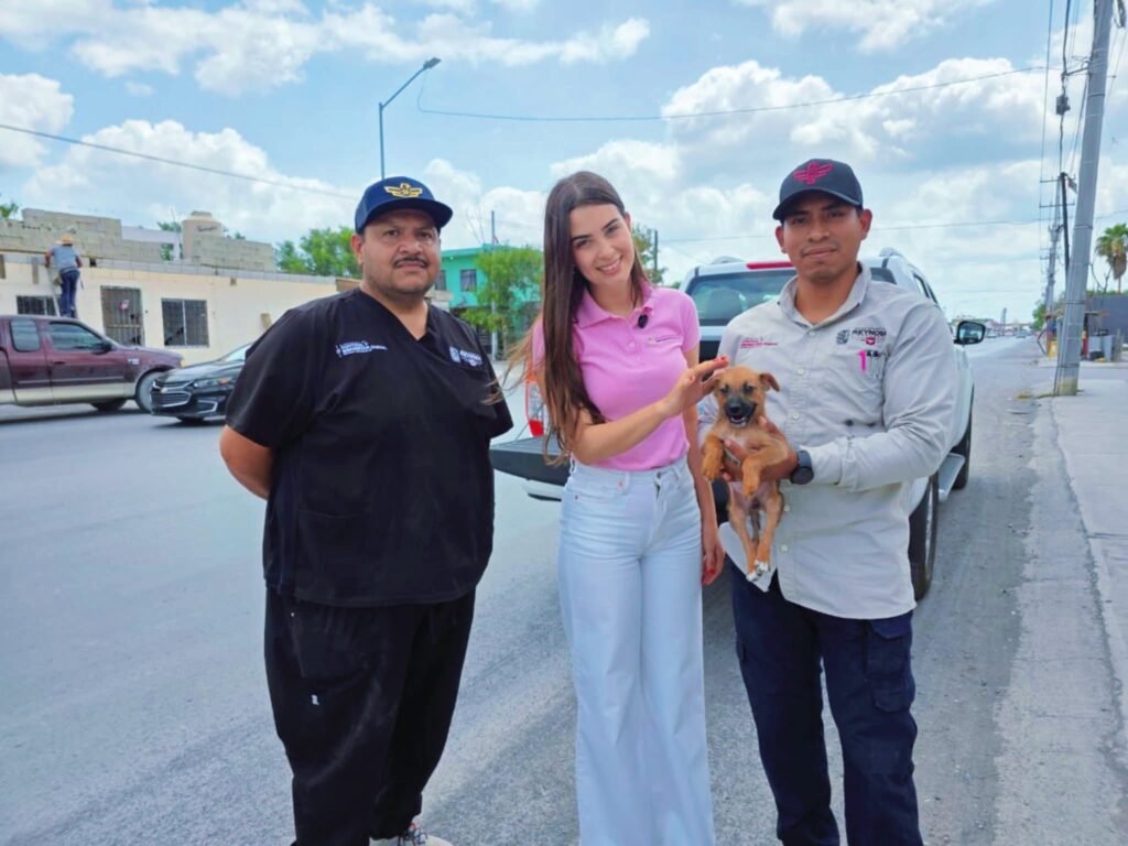Lo demuestra Reynosa otra vez; dan amor a perrita desvalida