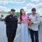 Lo demuestra Reynosa otra vez; dan amor a perrita desvalida