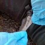 Macabro hallazgo en la Brecha del Becerro