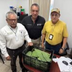 Avanza programa de Huertos de Traspatio
