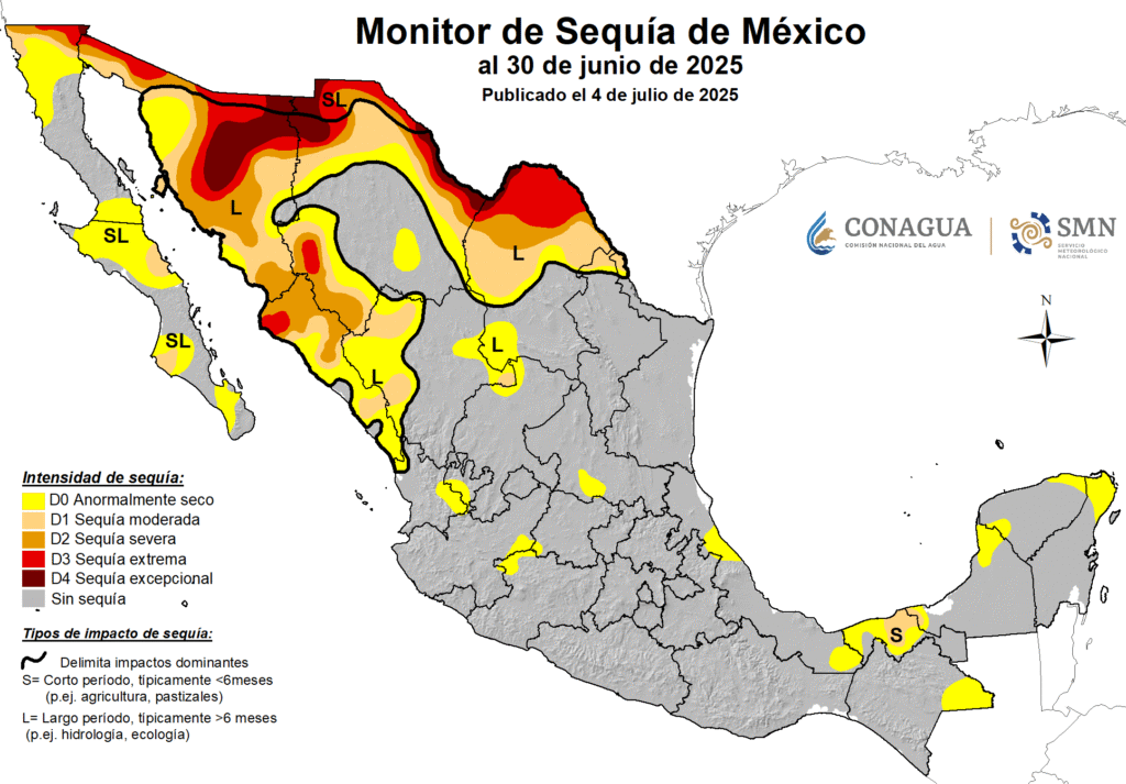 La mayor parte de Tamaulipas, sin sequía