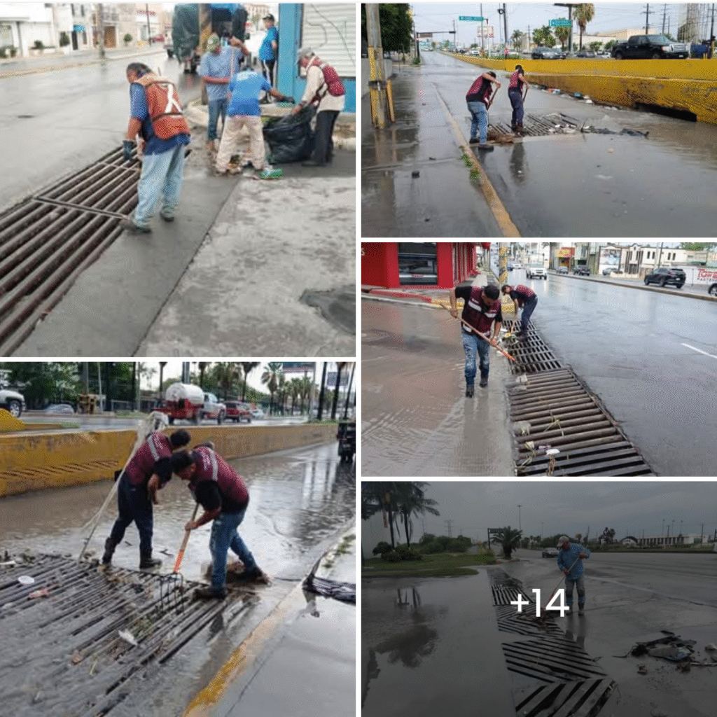 Limpia Ayuntamiento de Reynosa instalaciones pluviales, drenes y calicheras