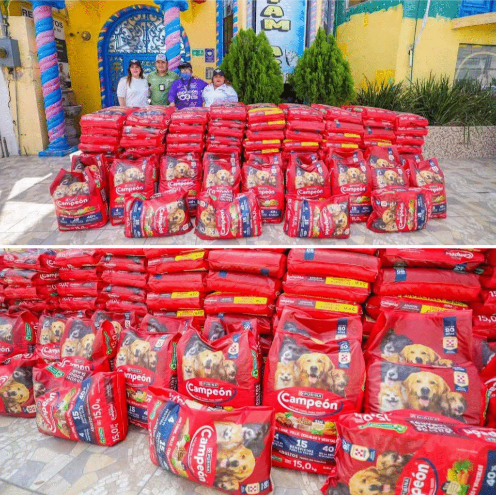 Apoya Gobierno de Reynosa alimentación de mascotas