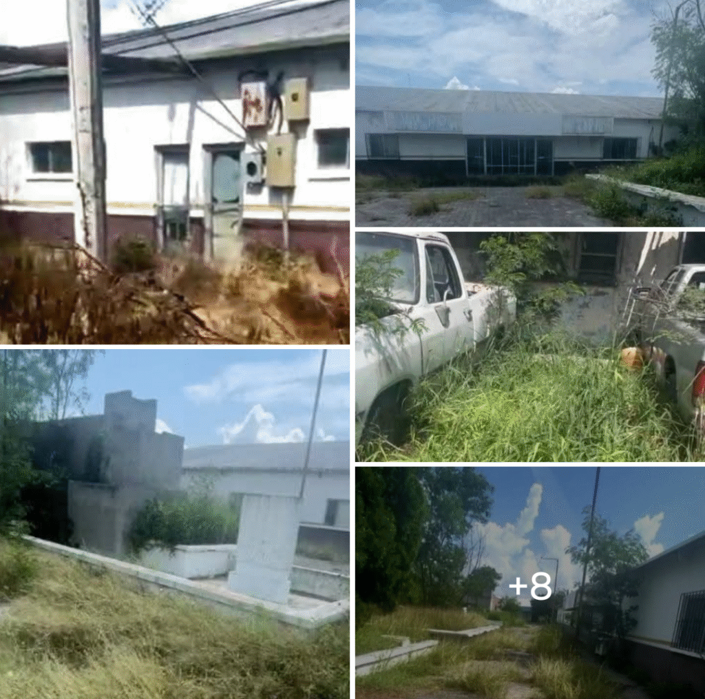 Abandono total: oficinas de la extinta SARH, símbolo del olvido al campo tamaulipeco