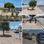 Notorio avance de rehabilitación de áreas verdes en Reynosa