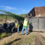 Reforestación y limpieza para una ciudad más habitable