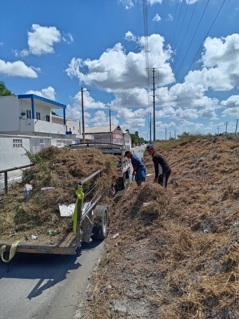Actividades de mantenimiento del Gobierno Municipal de Reynosa