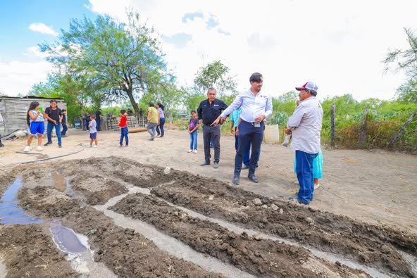 Huertos de traspatio ya son una realidad