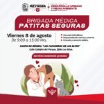 Irá brigada médica Patitas Seguras a comunidad Los Altos