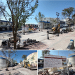 Aplican reforestación en la Diagonal Issasi