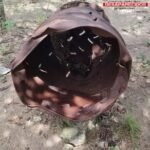 Descubrieron nuevo campo de exterminio