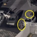 Ladrones hacen su agosto en septiembre