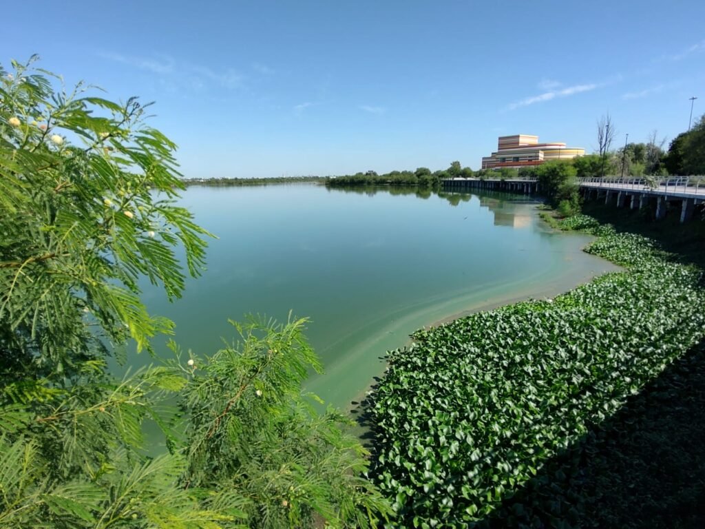 La laguna La Escondida está muriendo