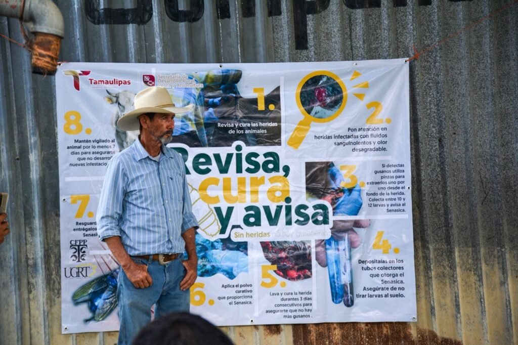 Productores tamaulipecos se suman a la prevención del gusano barrenador