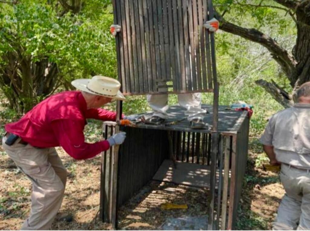 Promueve Gobierno de Tamaulipas programas de conservación de fauna