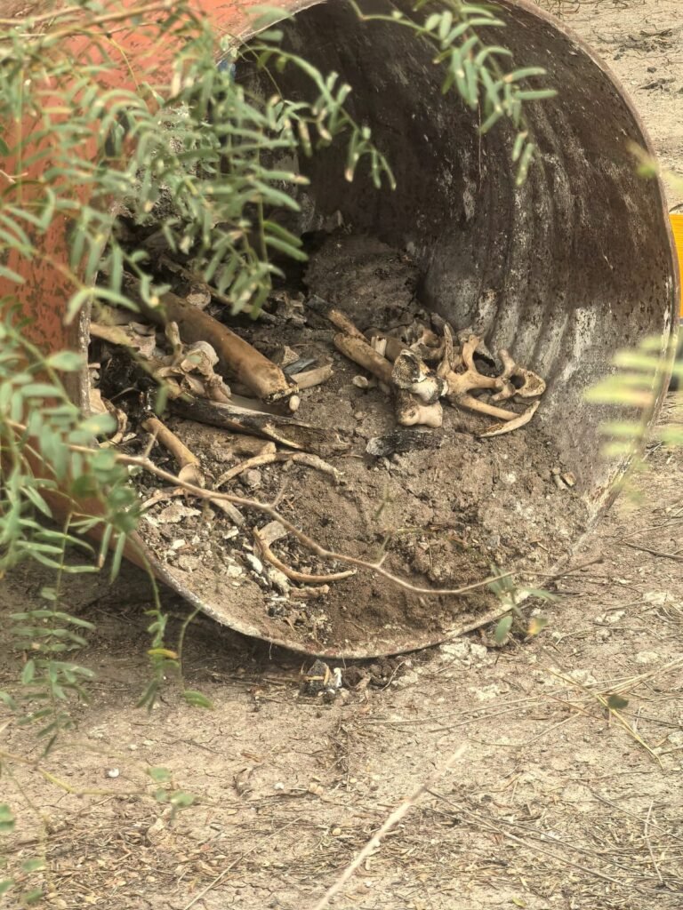 Hallaron tanque con restos humanos