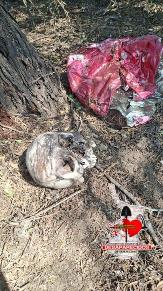 Hallaron otro cementerio clandestino