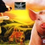 Al Vuelo-¡Animales!